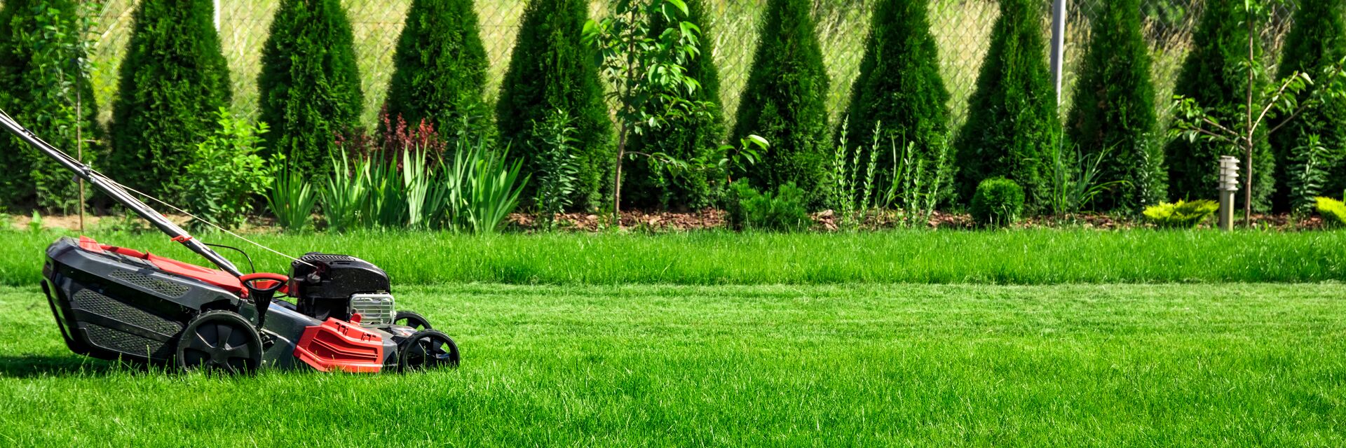 Garten pflegen: Reinigung von Rasen und Beeten, Beete anlegen - Gartenpflege, Rasenpflege